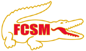Значок FCSM - 2